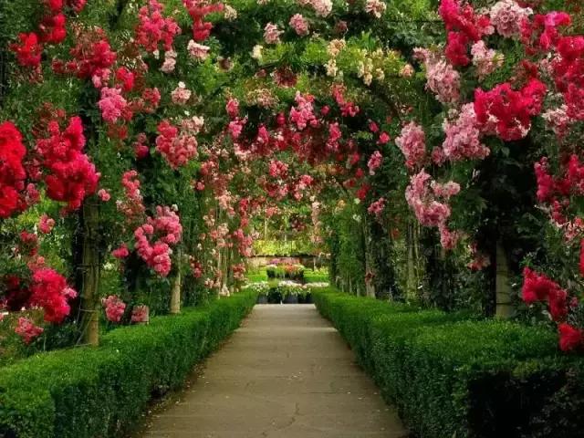 世界上最美的十大花園景觀