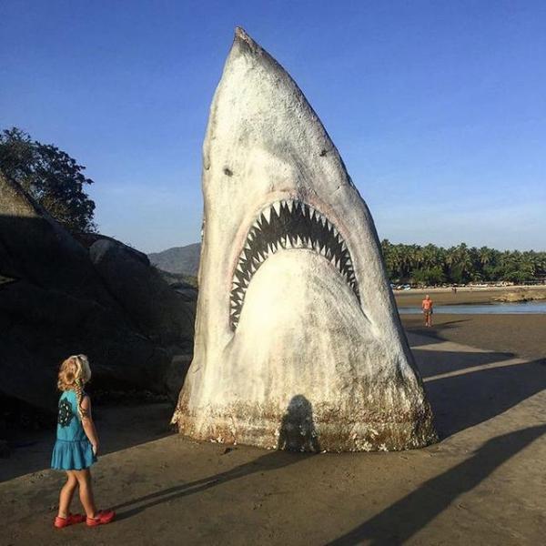 海邊的石頭竟然變成了“大白鯊”，人們紛紛跑來合影留念