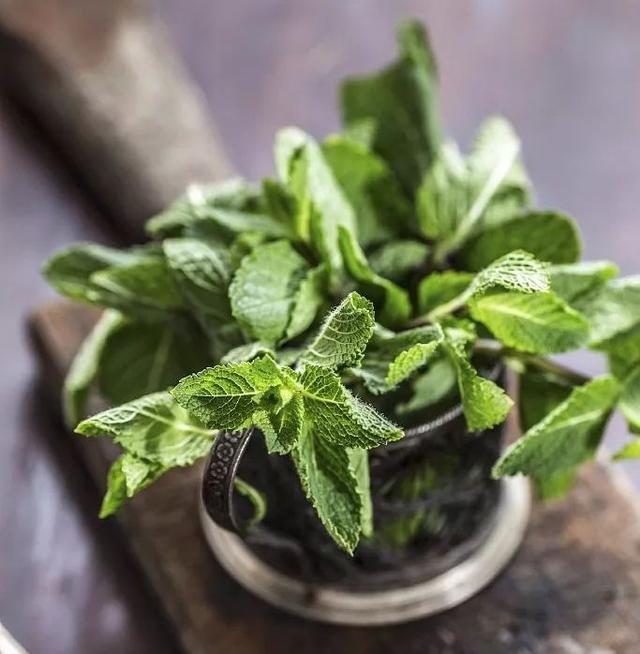 有些中藥可以當菜吃，調病養生不含糊，適當注意禁忌即可！