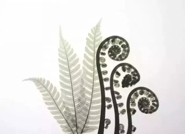 做人，傻一點真挺好，太計較會很累