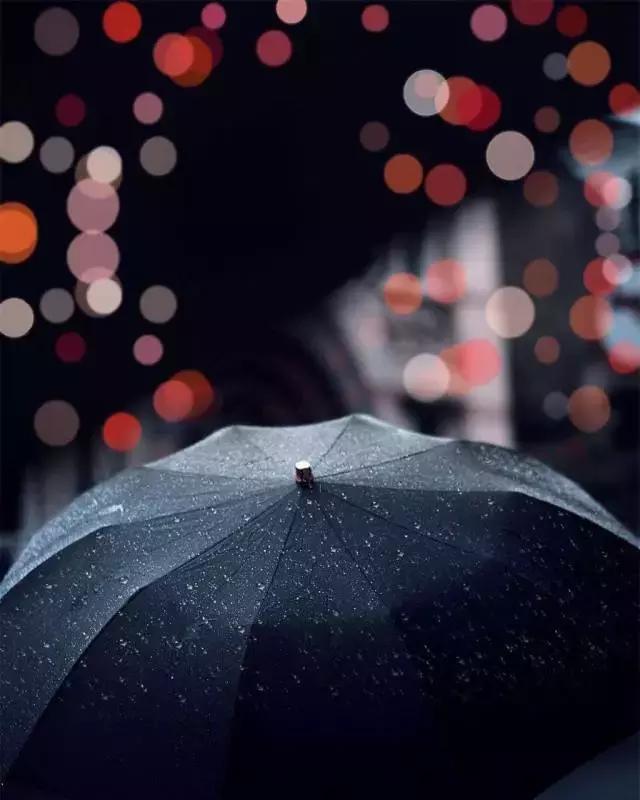 致：可憐的自己；（值得一看）