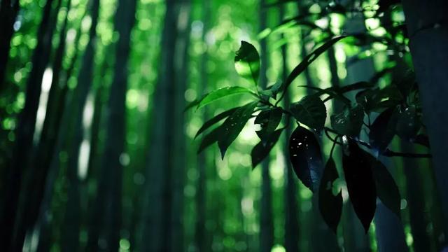 想與你共度餘生