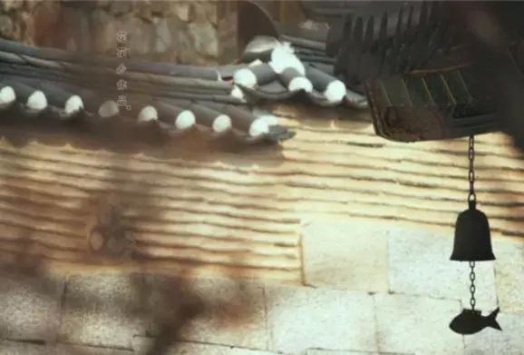 每個人的生命都只有一次