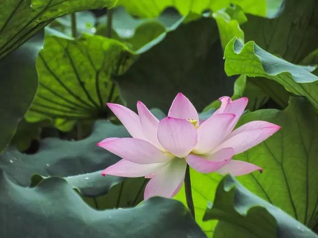 成長的經歷（深度好文）