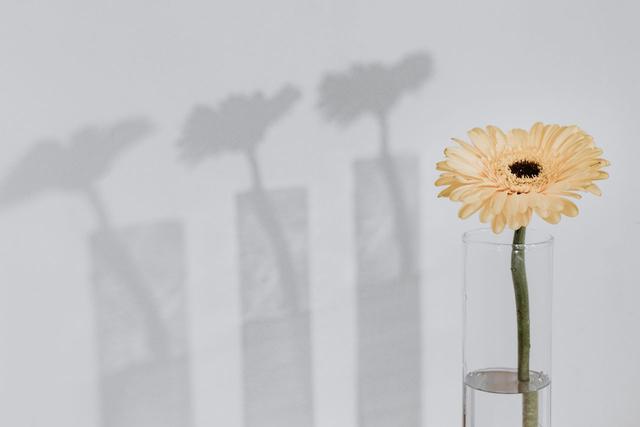 脾氣好，從不頂撞家人的幾大星座