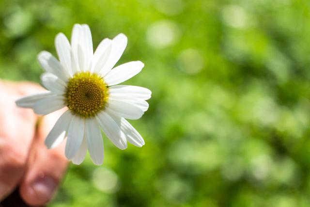 脾氣好，從不頂撞家人的幾大星座