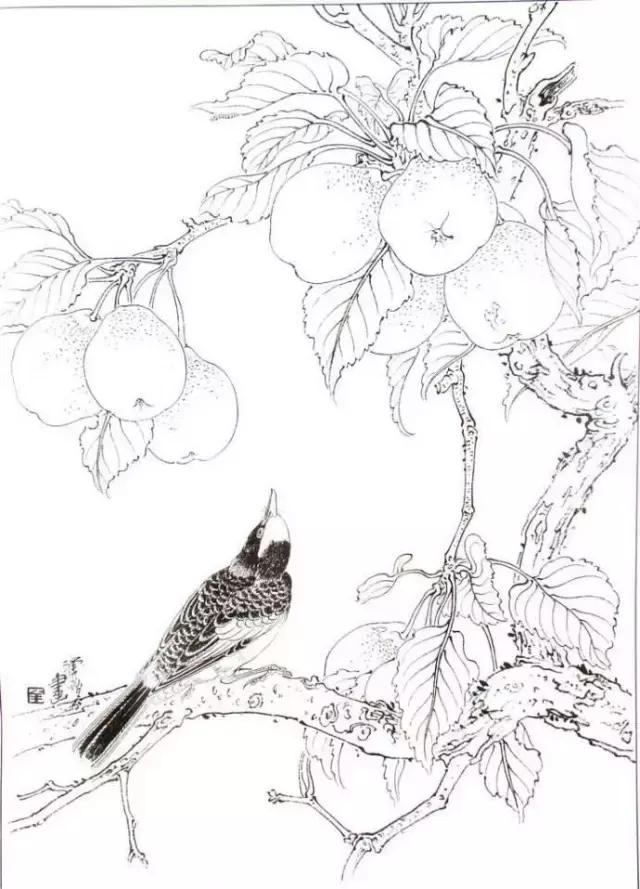 花鳥畫技法秘訣，全是精華