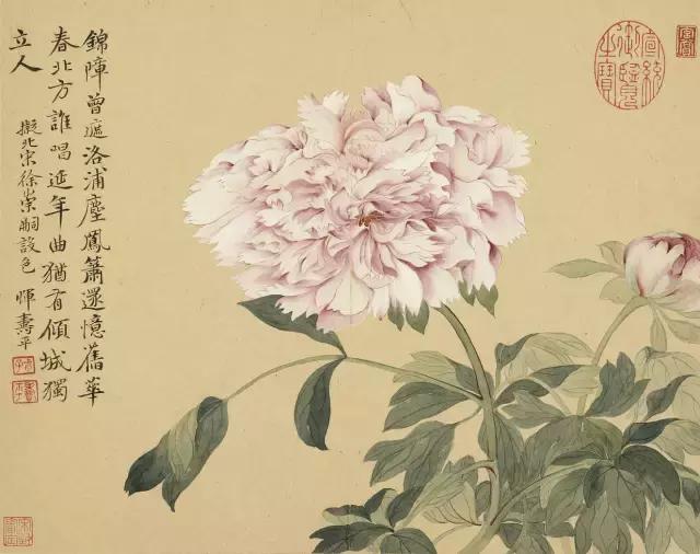 花鳥畫技法秘訣，全是精華