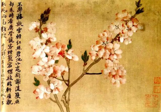 花鳥畫技法秘訣，全是精華