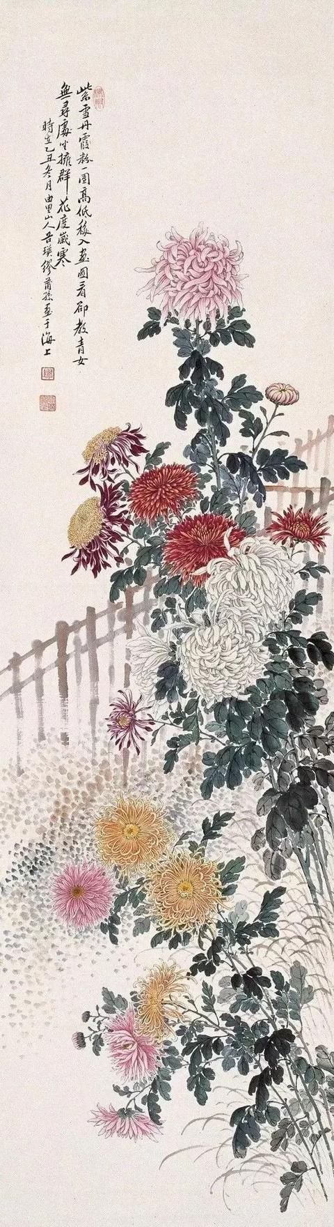 這“海上三菊”,把深秋畫醉啦