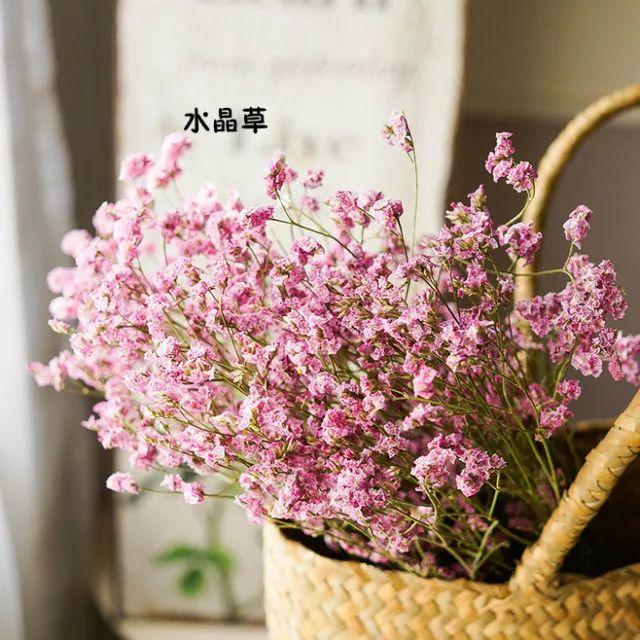 花藝師必知的100種葉材，你認識多少種？