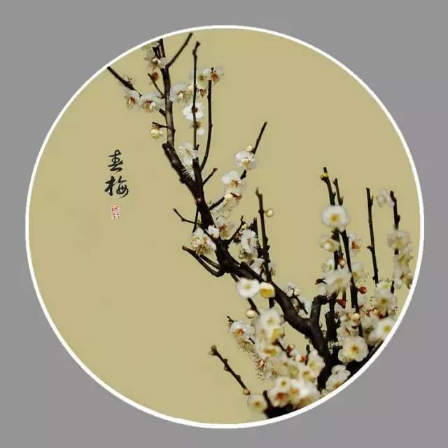 越讀心越平靜