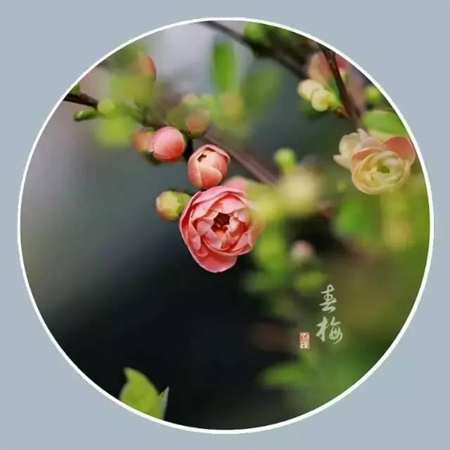 越讀心越平靜