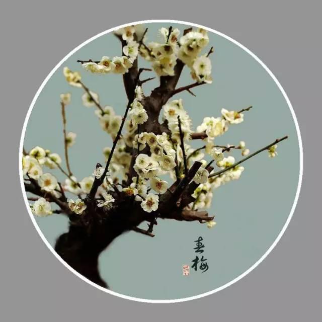 越讀心越平靜