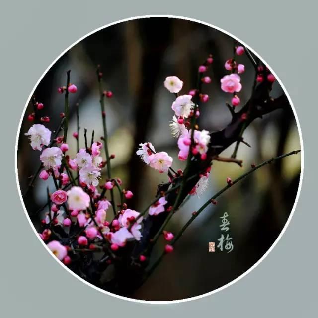 越讀心越平靜