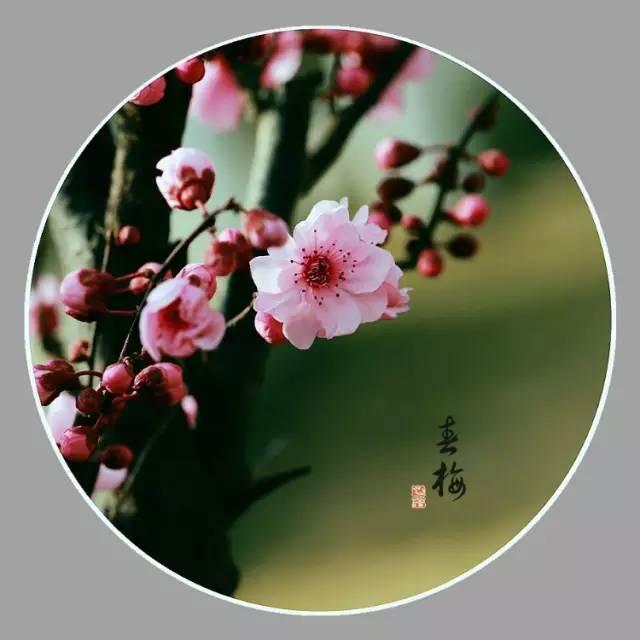 越讀心越平靜