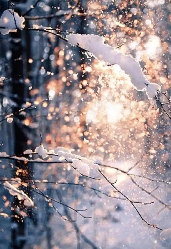 這些美照讓你記住冬的美麗