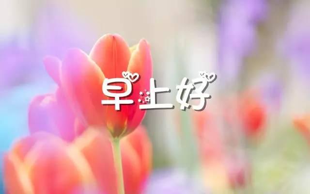 早安心語：只有自強、自立、自信，你才能付得起人生的賬單