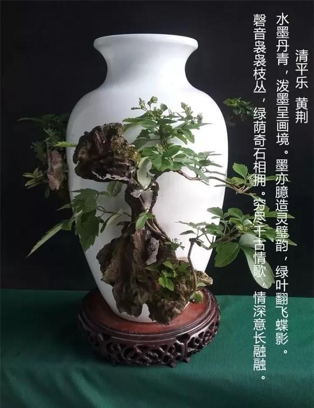 價值上億的頂級瓶景，美得無與倫比