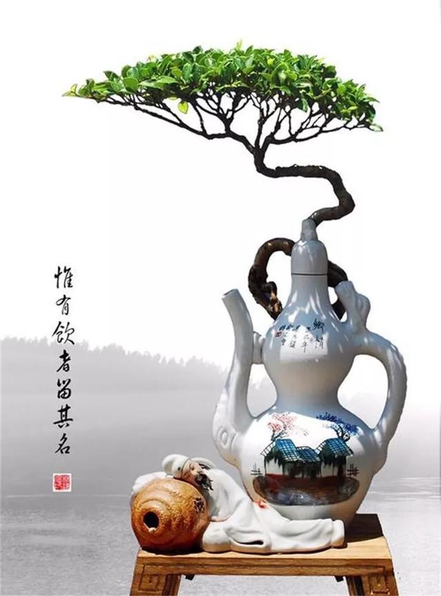 價值上億的頂級瓶景，美得無與倫比