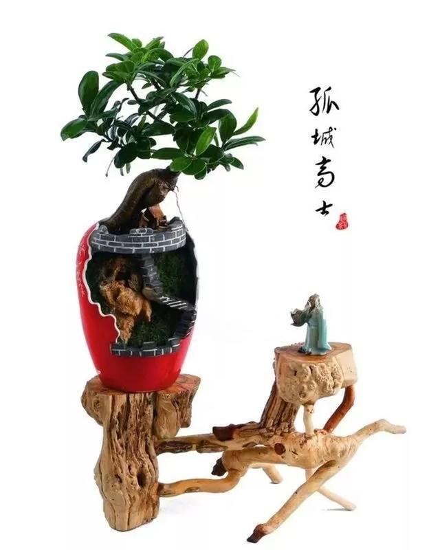 價值上億的頂級瓶景，美得無與倫比