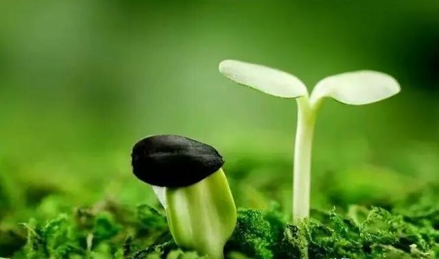 一個安靜的人，總在默默地成長