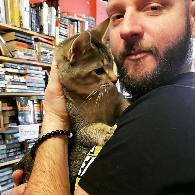 這書店裡全是小貓，完全沒辦法看書，店主：看上的貓咪就帶走