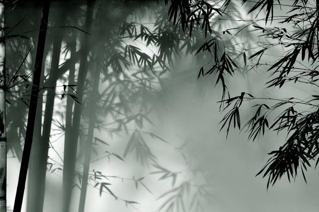 竹的文化史：畫竹、詠竹、用竹，為何竹在中國文化里如此重要？