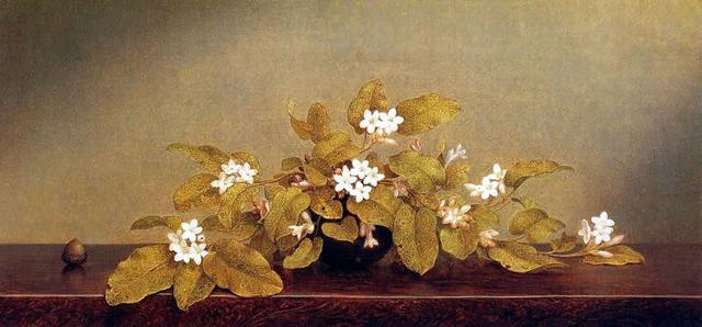 Johnson Heade：能聞到香氣的花兒作品