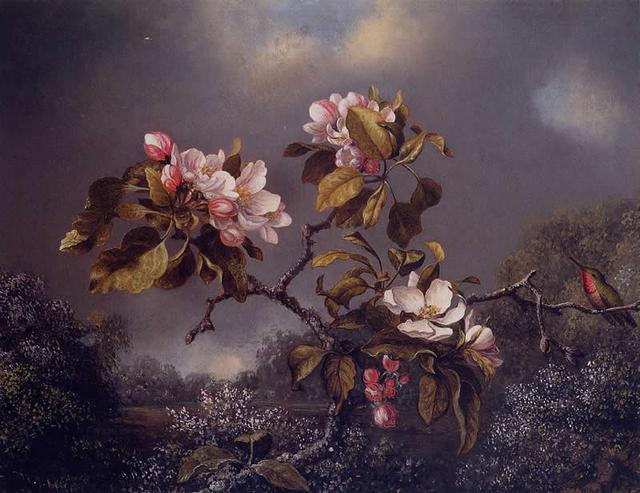 Johnson Heade：能聞到香氣的花兒作品