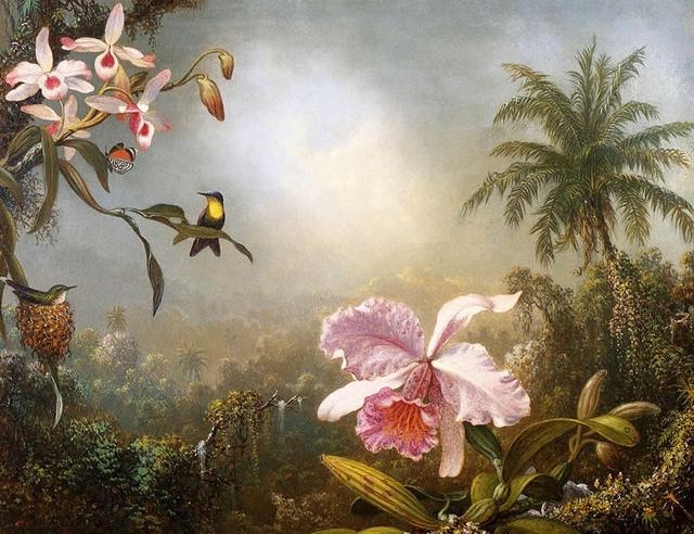 Johnson Heade：能聞到香氣的花兒作品