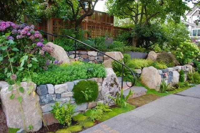石頭縫裡的庭院景觀，看一眼就愛上了