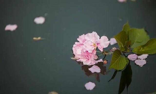 人，不能太閒，閒則廢
