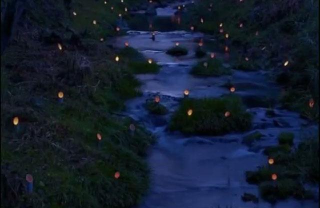 不管生活有多難，都不要抱怨