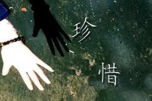 珍惜，敢和你說真話的人