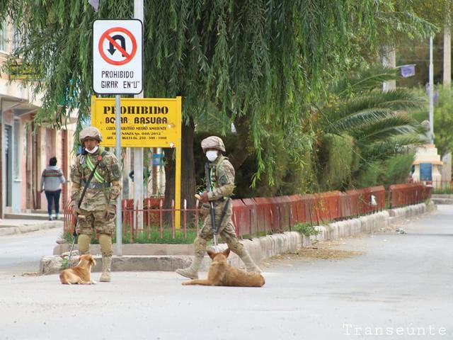 流浪狗追車，軍人伸手拉它一把：跟我們回去當吉祥物吧！