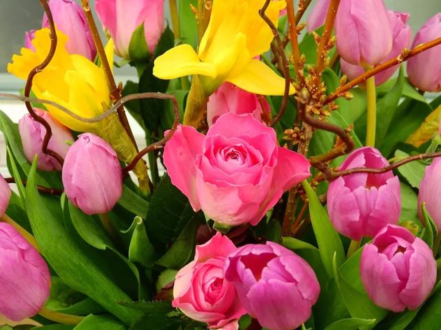 送你鮮花美景，祝你五月好心情！