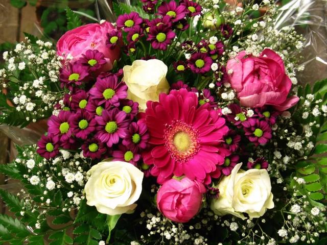 送你鮮花美景，祝你五月好心情！