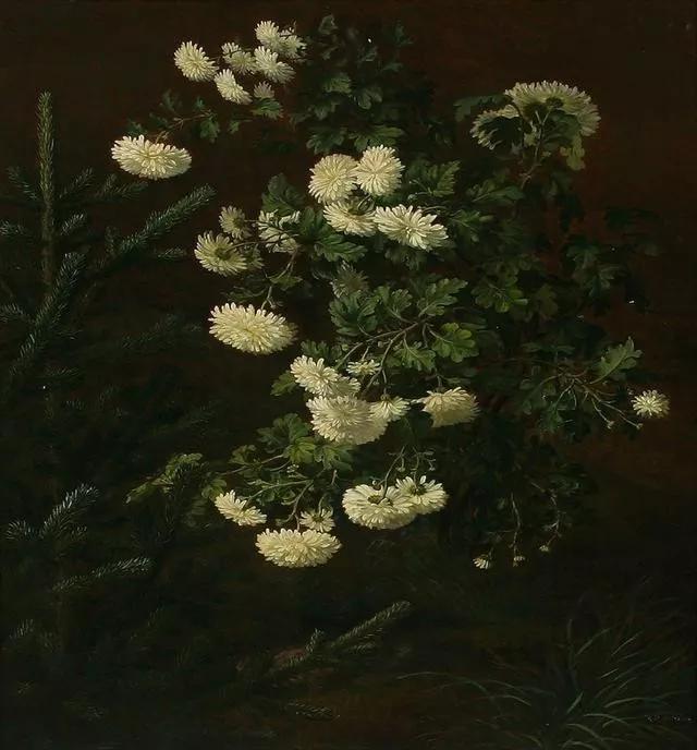 丹麥畫家，專門從事花卉繪畫，欣賞藝術
