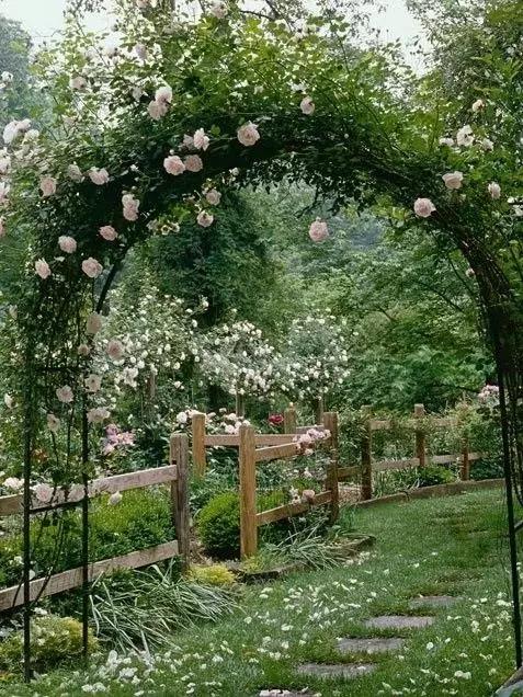 一個簡單的花架，卻美了整個院子