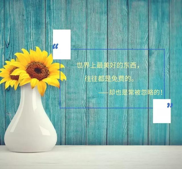 也許你沒有貌，但你有才，也許你沒有才，但你溫柔，早安
