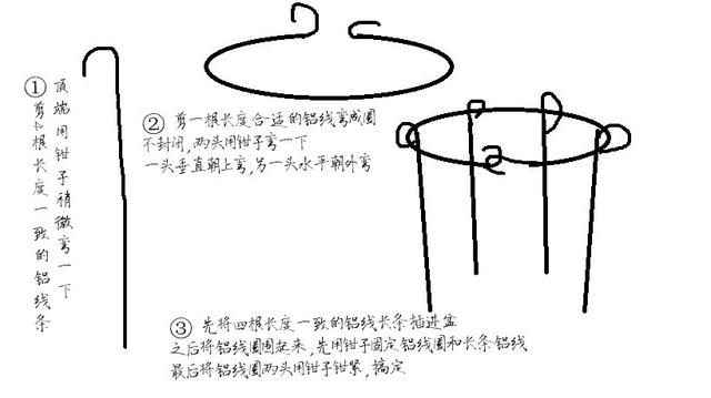 佩服| 她在夾縫中養花，一尺窗台擠滿99盆花，不容易