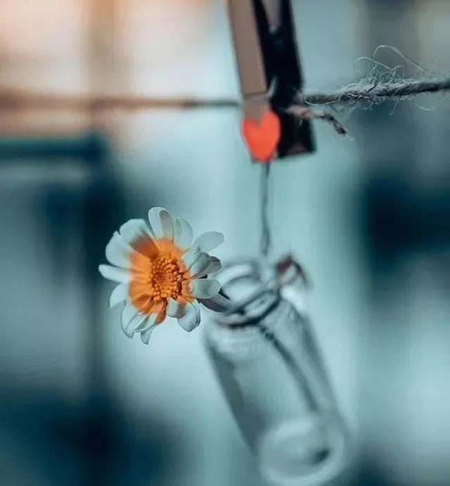放下,你就贏了
