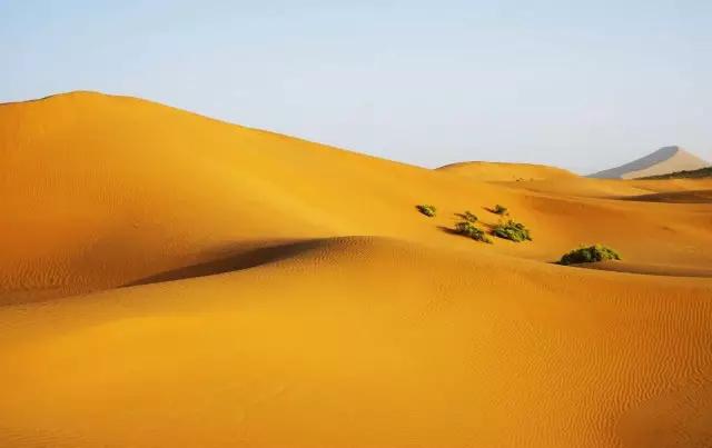 沙漠景彩圖