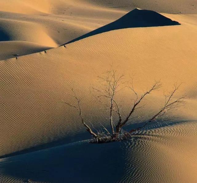 沙漠景彩圖