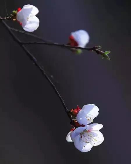 相遇了，請珍惜
