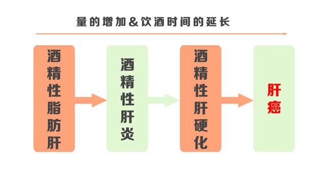 肝怕“1水”，腎怕“1字”，胃怕“3事”！ 勸你一個都別沾，別等熬成癌才後悔