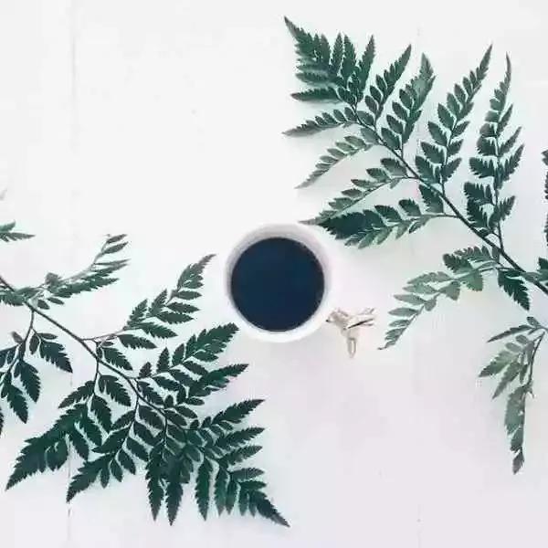 人生,擇善而交( 深度好文)