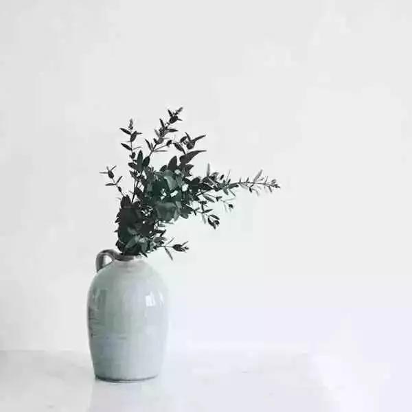 人生,擇善而交( 深度好文)