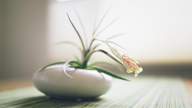 年紀越大,越不愛炫耀:這5件事,沒必要顯擺